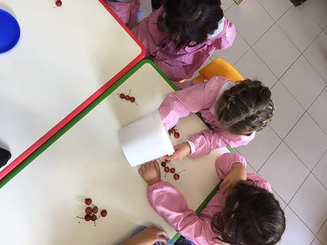 Scuola dellinfanzia Damiani 0023